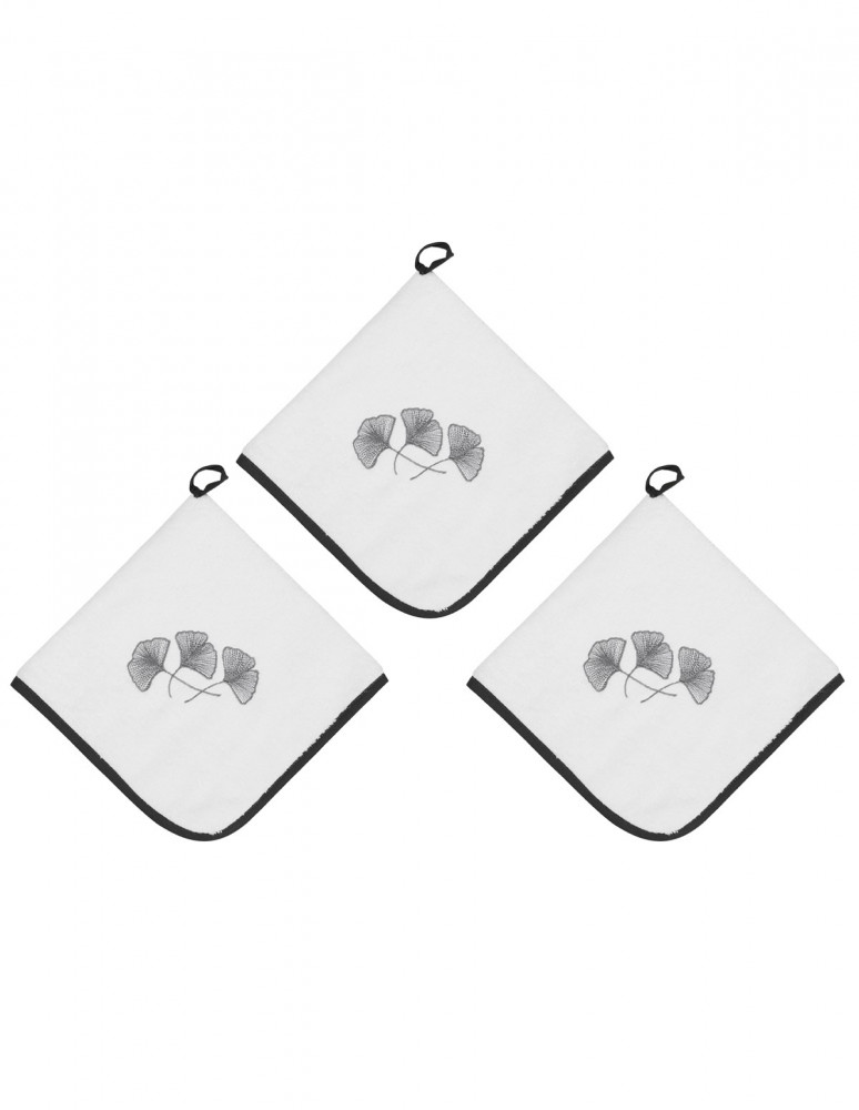 Lot de 3 Torchons Carrés Eponge 50x50cm 420gr/m² GINKGO, Torchons