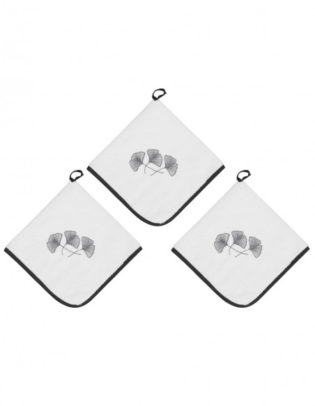 Lot de 3 Torchons Carrés Eponge 50x50cm 420gr/m² GINKGO, Torchons