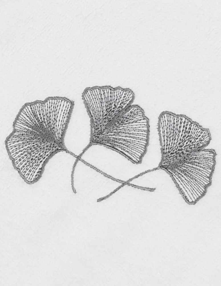 Lot de 3 Torchons Carrés Eponge 50x50cm 420gr/m² GINKGO, Torchons