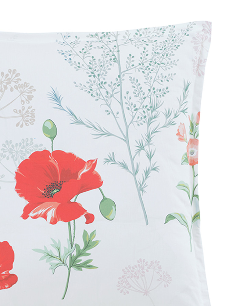 Lot de 2 taies d'oreillers en percale...