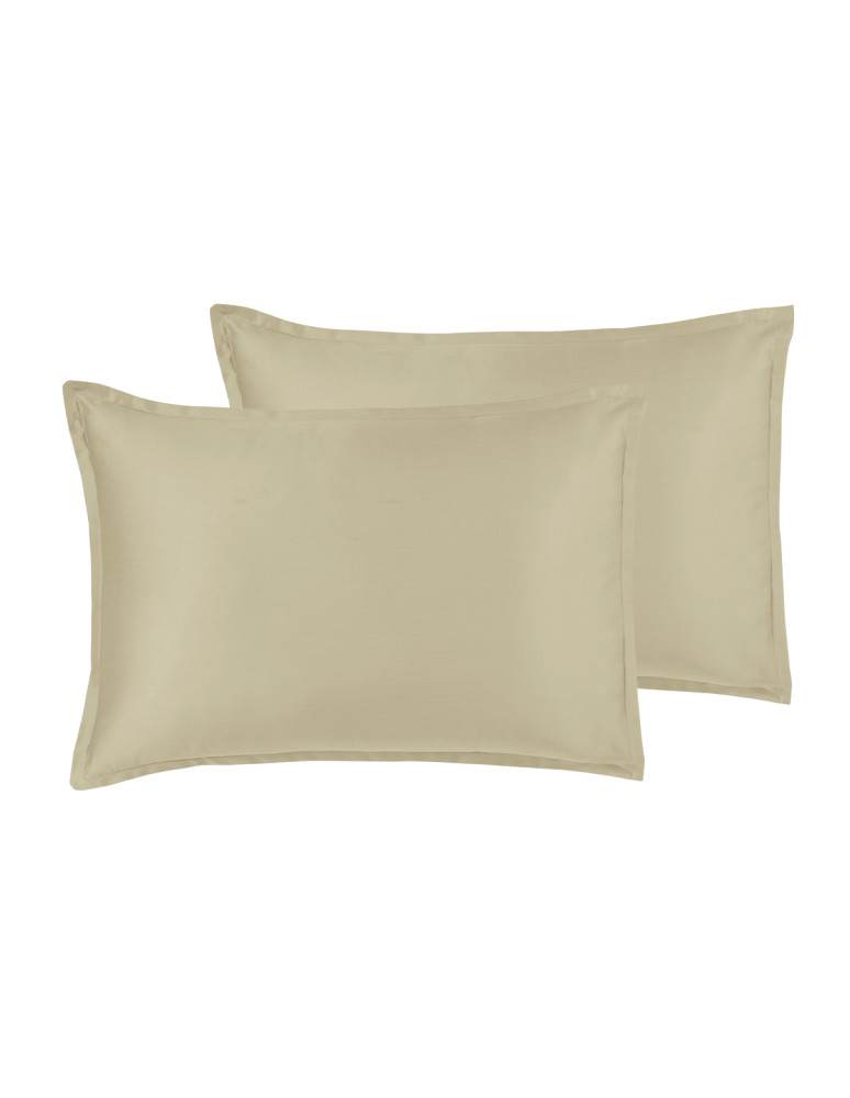 Parure de lit + 2 taies 50x70 cm...