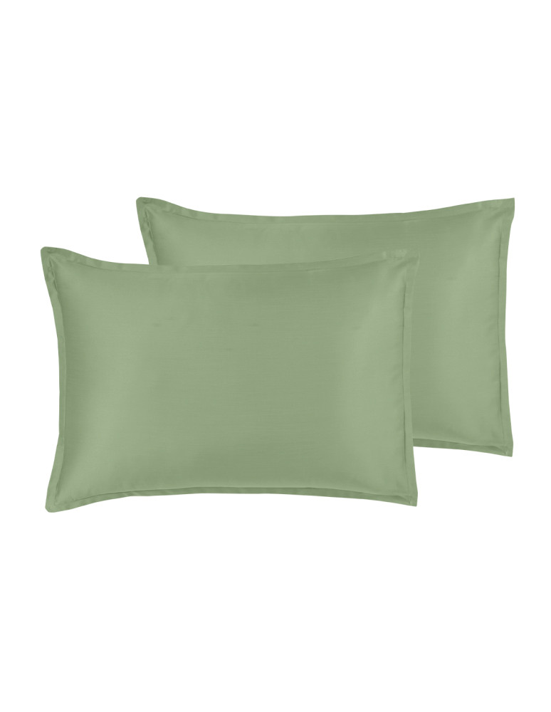 Parure de lit + 2 taies 50x70 cm...