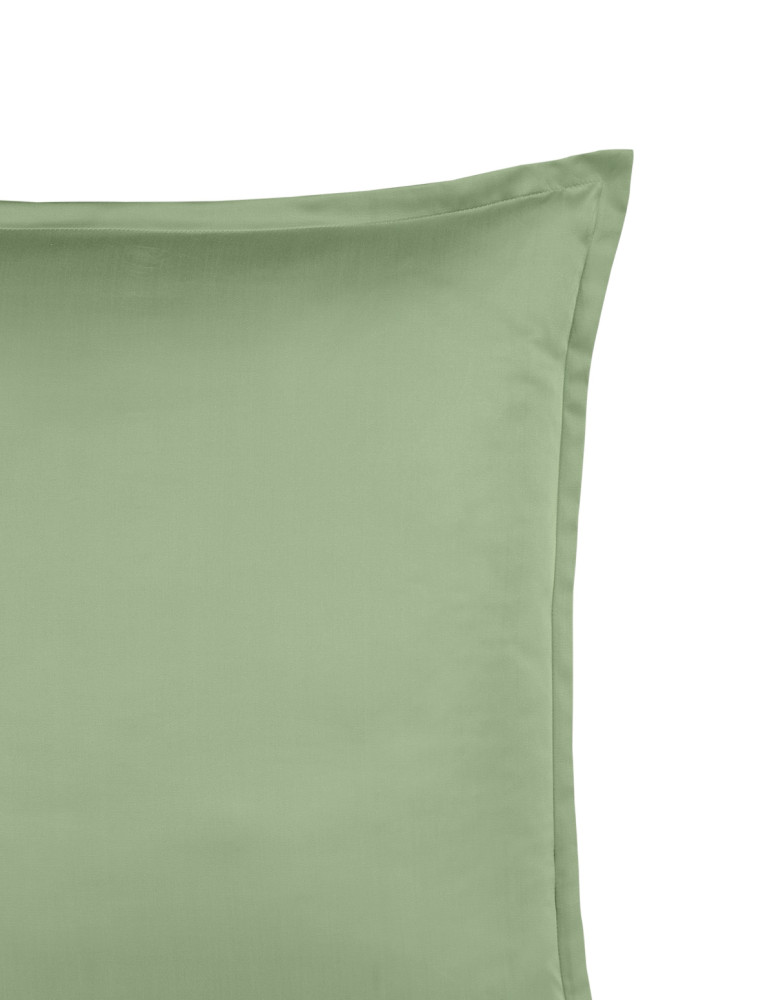 Parure de lit + 2 taies 65x65 cm...