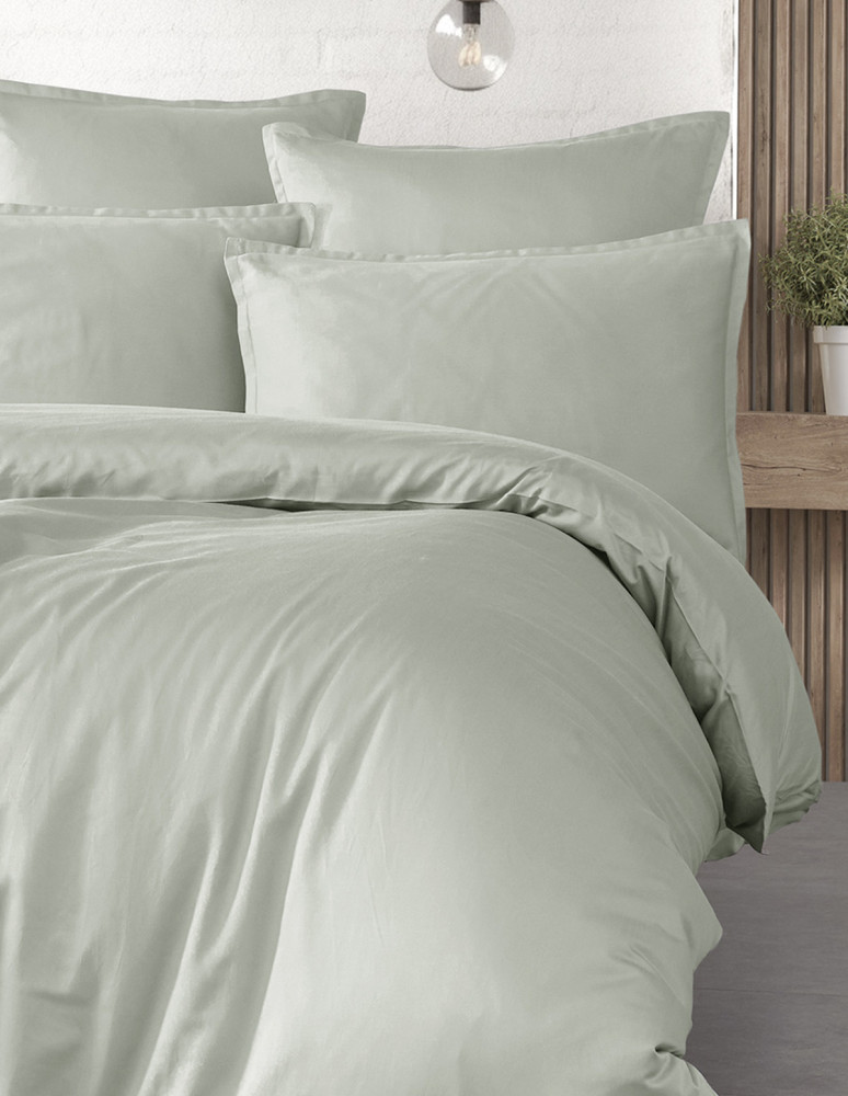 Parure de lit + 2 taies 50x70 cm...