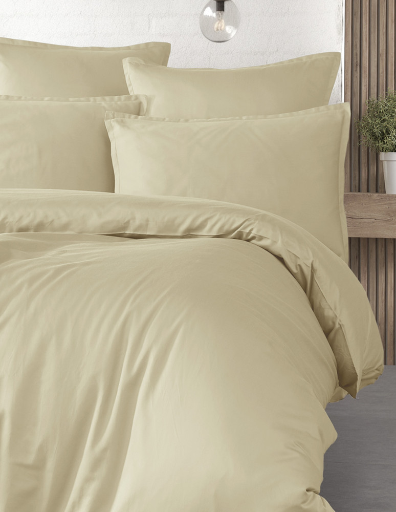 Parure de lit + 2 taies 65x65 cm...