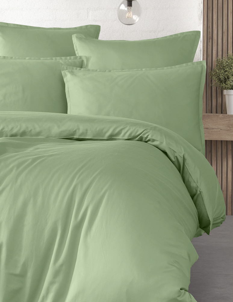 Parure de lit + 2 taies 65x65 cm...