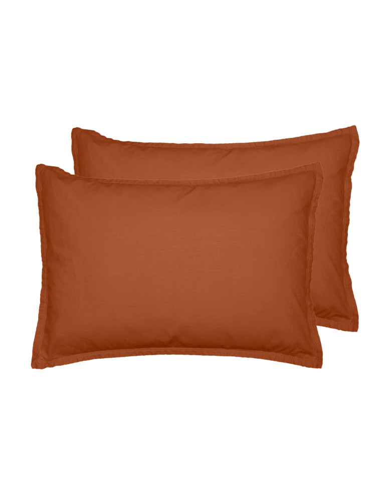 Ensemble drap housse flanelle coton +...