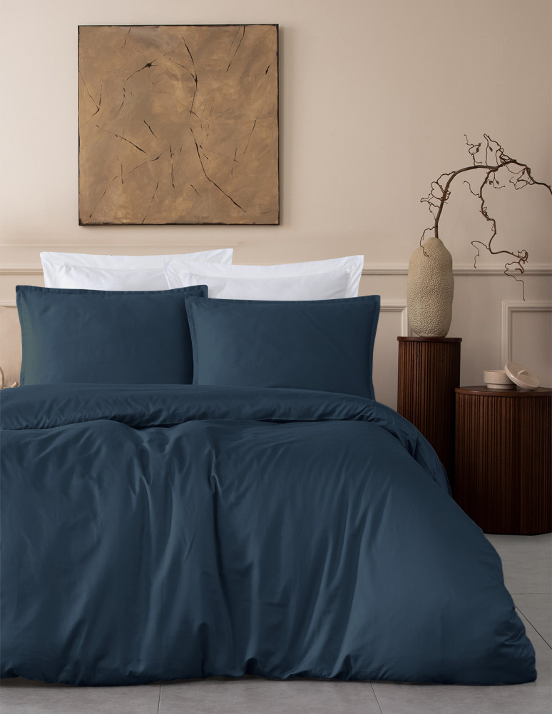 Parure de lit + 2 taies 50x70 cm...