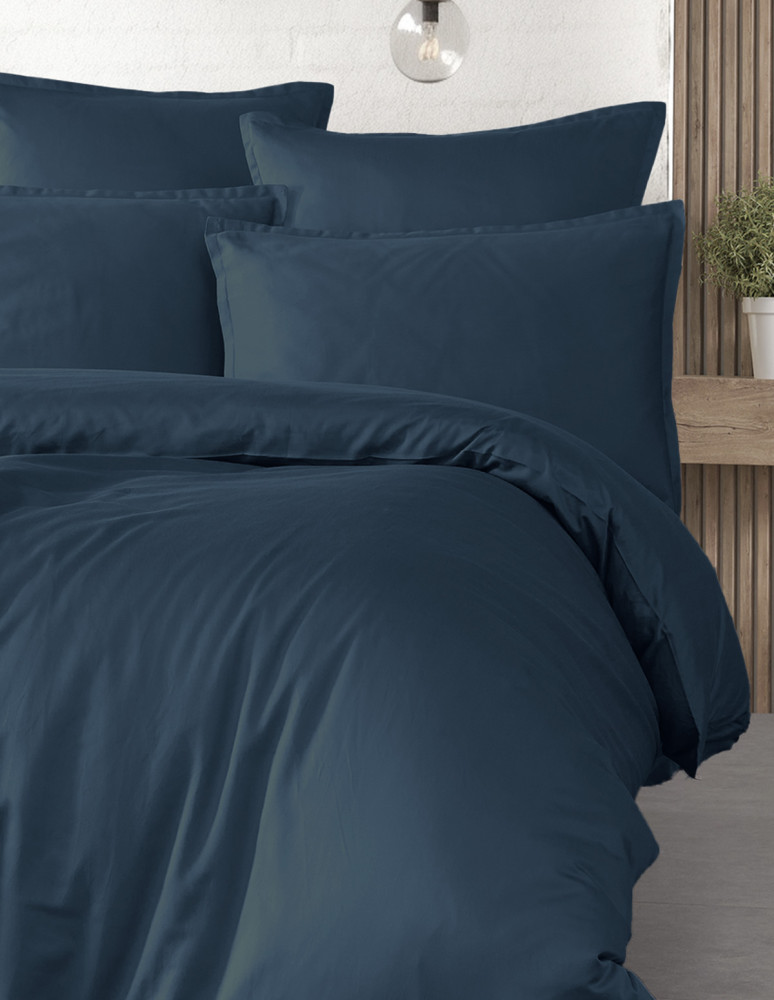 Parure de lit + 2 taies 65x65 cm...