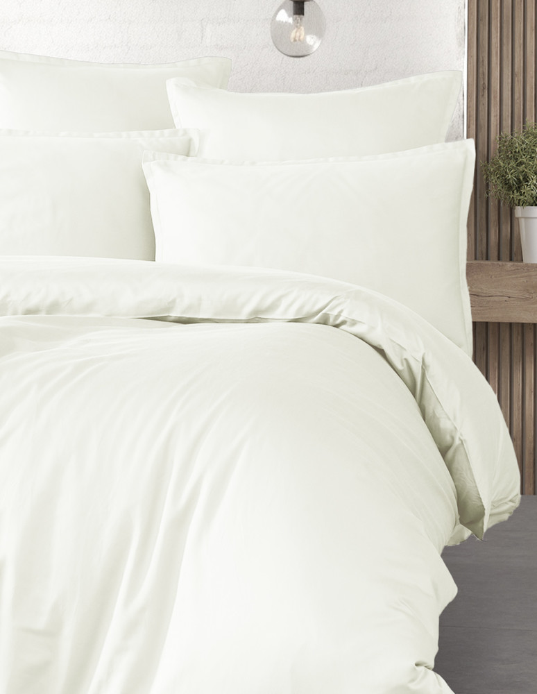 Parure de lit + 2 taies 65x65 cm...