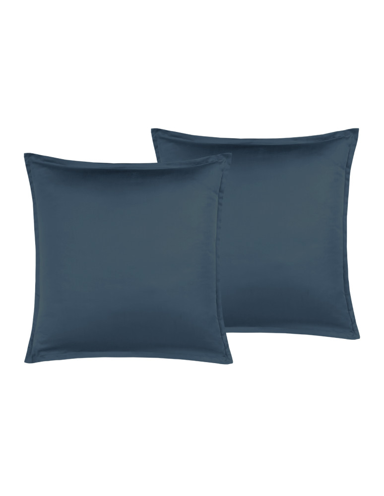 Parure de lit + 2 taies 65x65 cm...