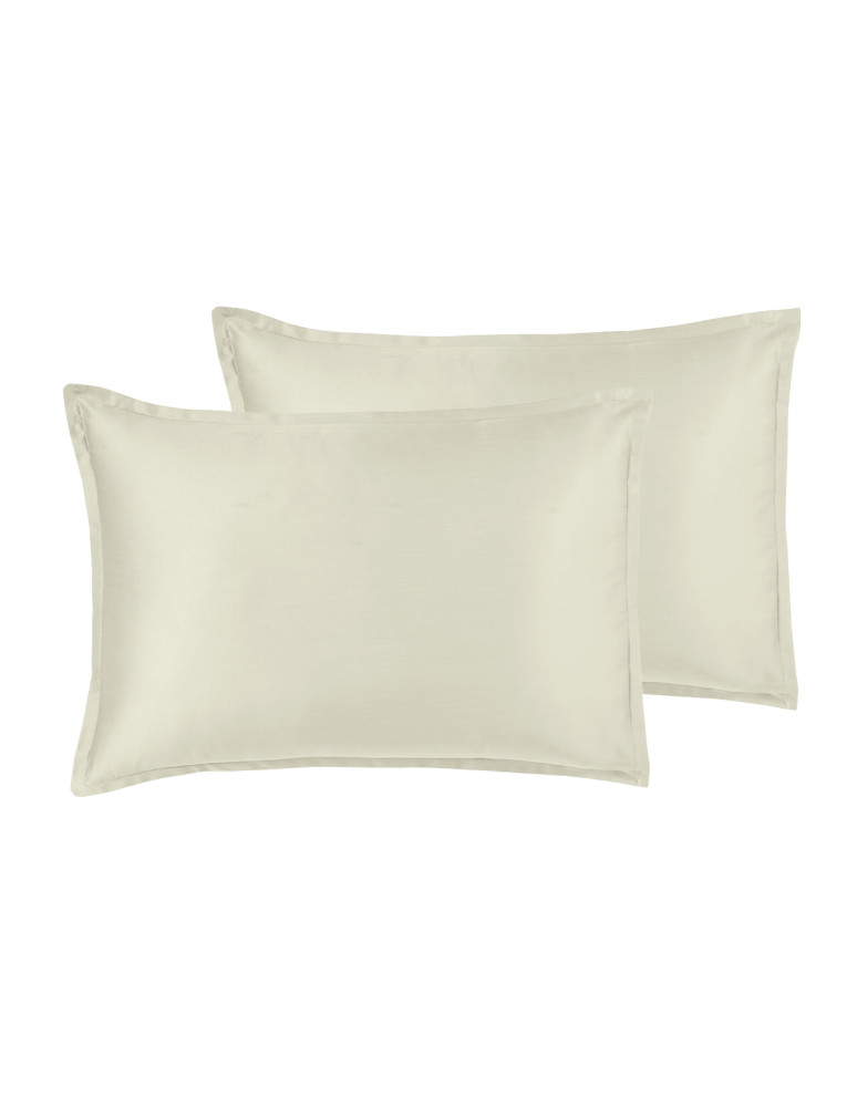 Parure de lit + 2 taies 50x70 cm...