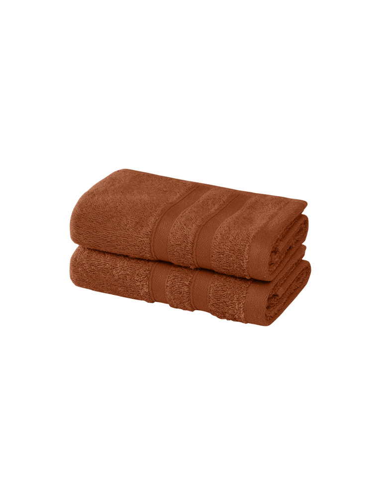 Lot 2 serviettes invité en coton...