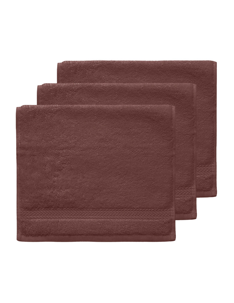 Lot de 3 serviettes invité 550 g/m²...