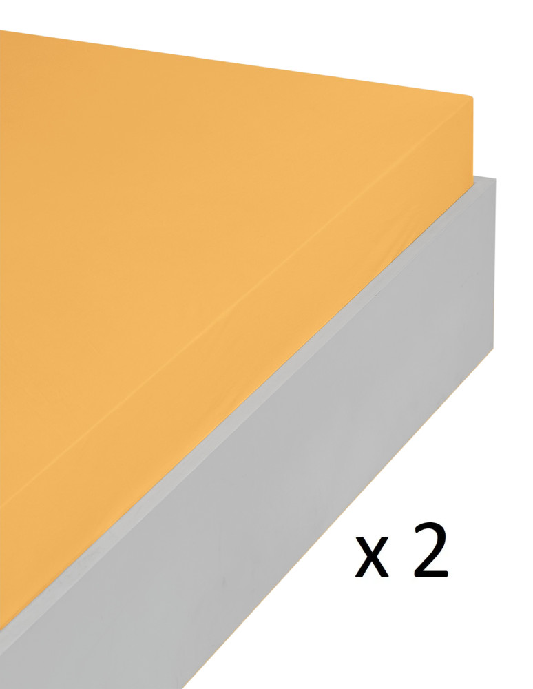 Lot de 2 draps housse jersey coton...