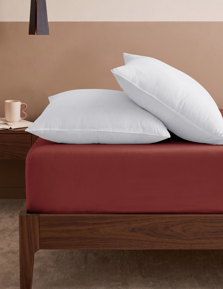 Drap housse jersey coton...